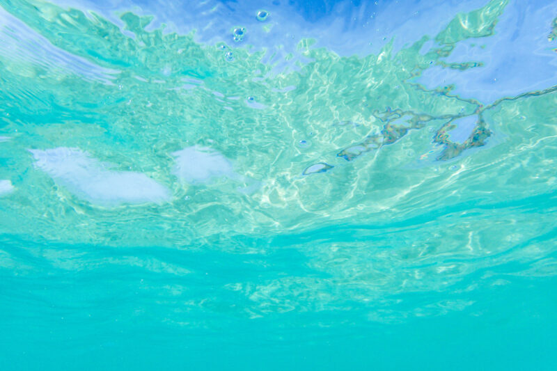 エメラルドグリーンの水中画像