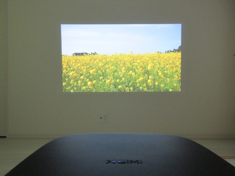 白壁にXGIMIのプロジェクターで花畑を投影している画像